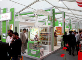3b Exhibition Stands